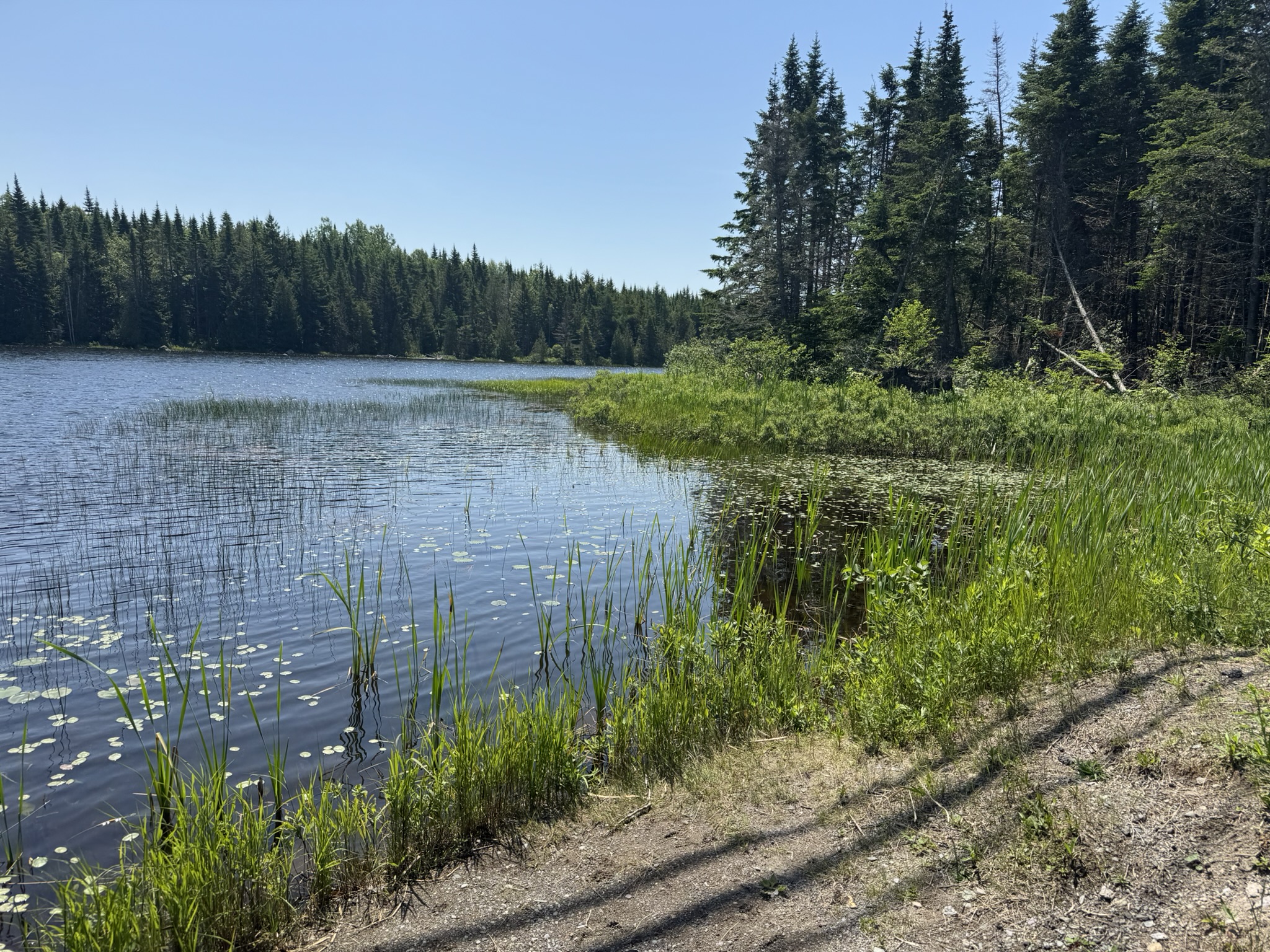 CBCL Wins ACWWA Award for City of Saint John Emergency Watershed ...